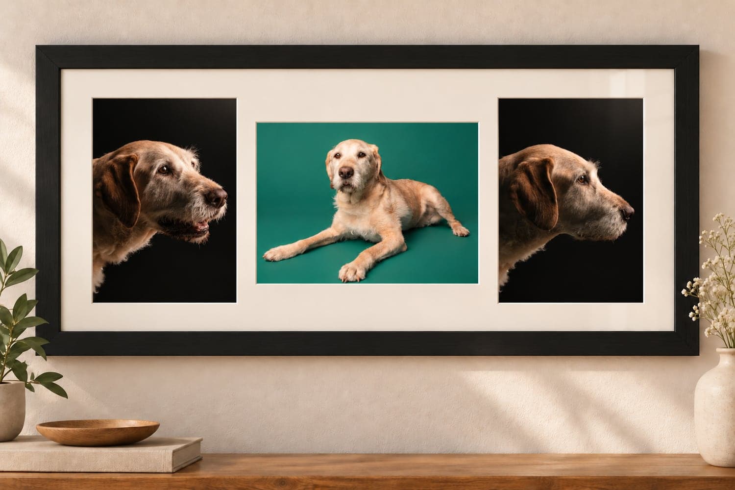 Black frame holding three portraits of a golden dog
